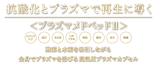 抗酸化とプラズマで再生に導く