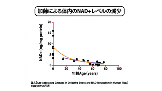 NAD⁺消費量